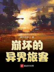 崩坏的异界旅客