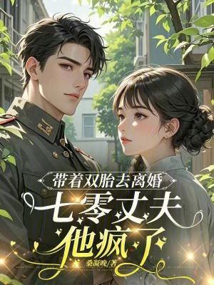 带着双胎去离婚,七零丈夫他疯了